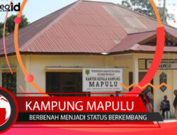 Kampung Mapulu Berbenah, Menuju Status Berkembang